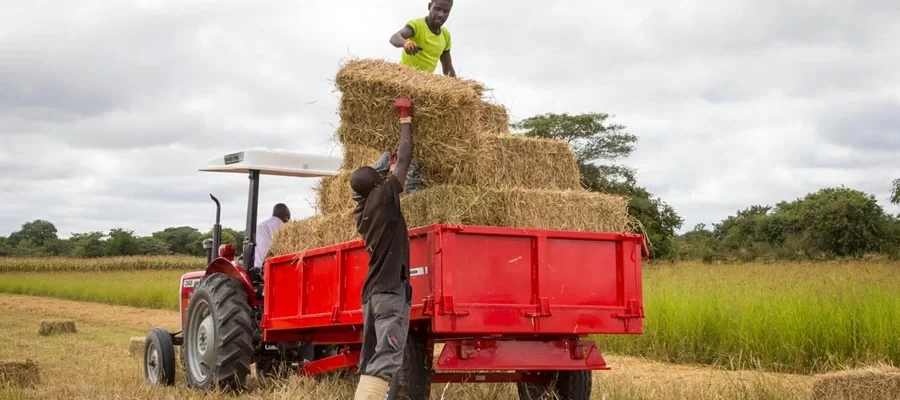 Explore the Innovative Uses of Massey Ferguson Tractors Beyond Farming in Libya