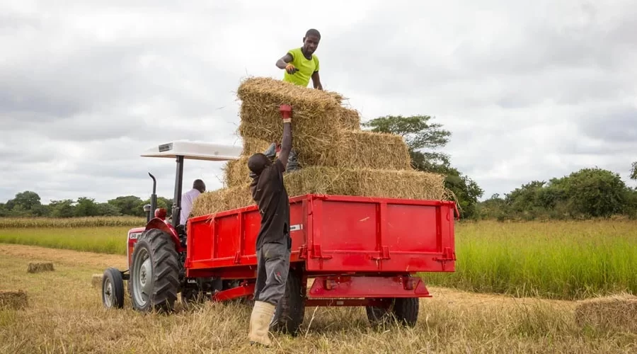 Explore the Innovative Uses of Massey Ferguson Tractors Beyond Farming in Libya